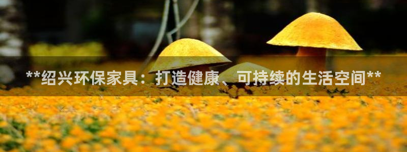 杏耀注册登录代理