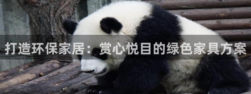 杏耀代理注册中心