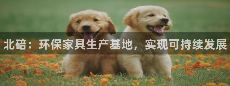 杏耀代理官网