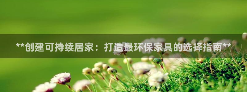 杏耀代理日工资多少
