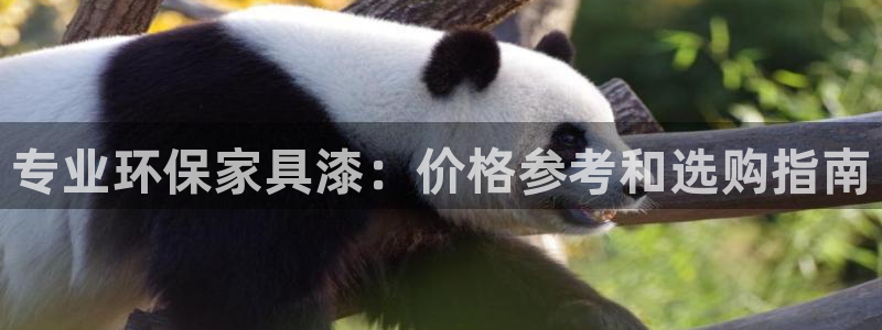 杏耀开户app下载