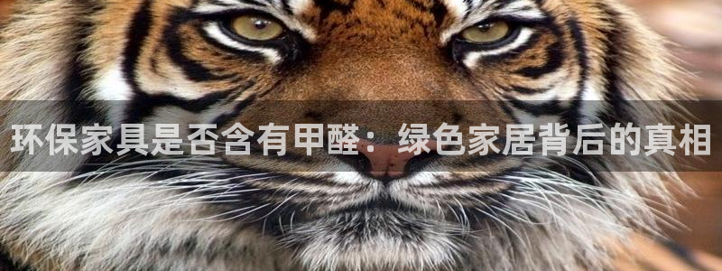 杏耀平台正规么