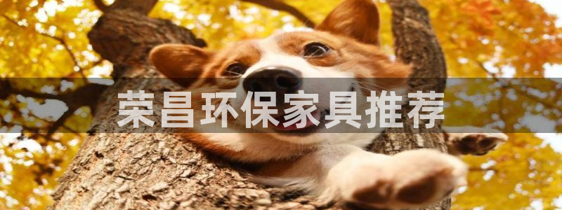 杏耀平台怎么样?