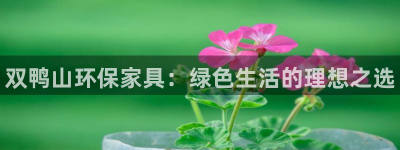 杏耀平台测速登陆