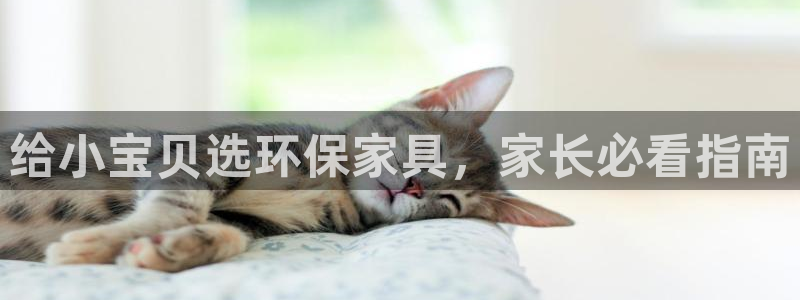 杏耀注册代理