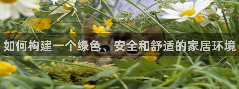 杏耀代理日工资多少