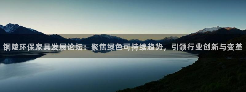 杏耀平台下载：铜陵环保家具发展论坛：聚焦绿色可持续趋势，引领