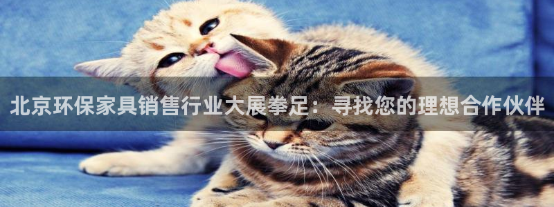 杏耀平台代理怎么赚钱