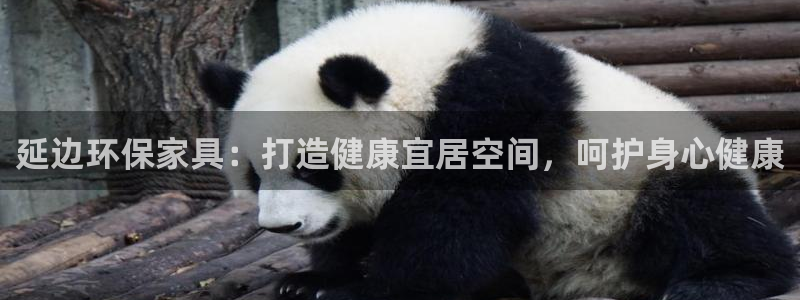 杏耀平台主管：延边环保家具：打造健康宜居空间，呵护身心健康