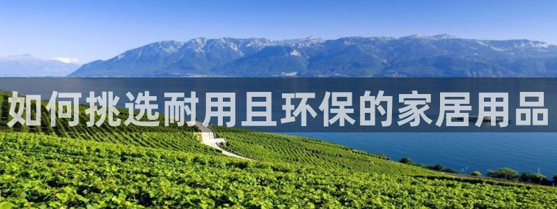 杏耀平台娱乐
