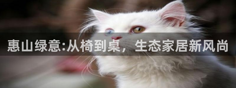 杏耀总代