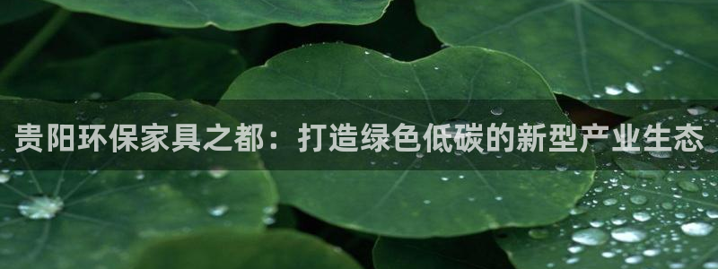 杏耀线路测速登录中心：贵阳环保家具之都：打造绿色低碳的新型产