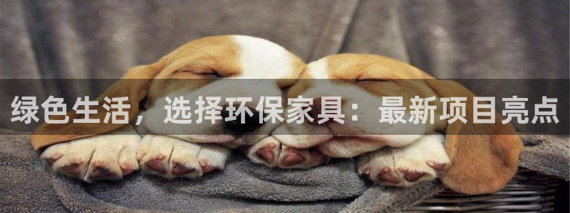 杏耀平台测速登录
