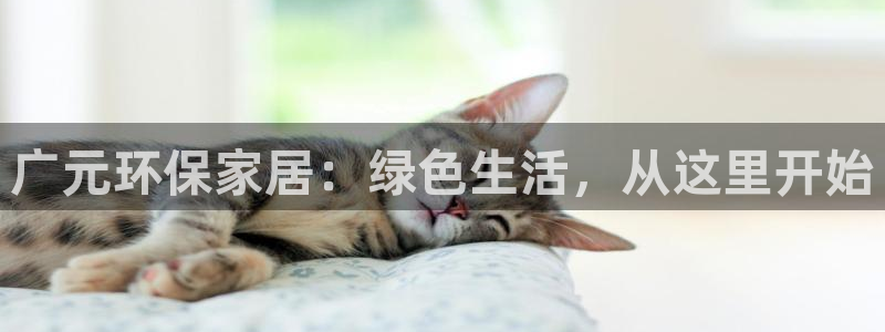 杏耀平台登陆测速