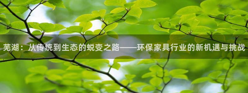 杏耀平台在线注册