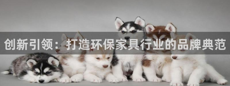 杏耀代理连接
