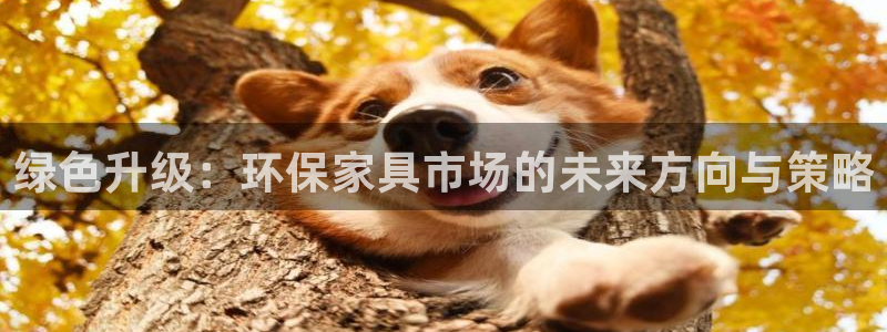 杏耀平台靠谱吗：绿色升级：环保家具市场的未来方向与策略