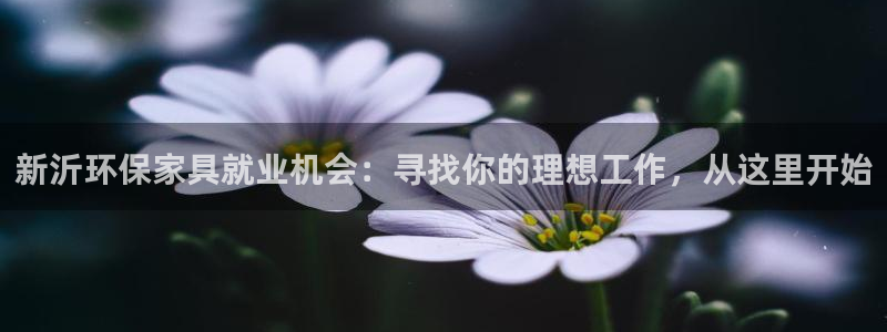 杏耀平台服务中心电话号码：新沂环保家具就业机会：寻找你的理想