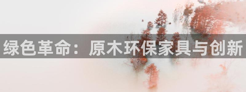 杏耀平台注册代理：绿色革命：原木环保家具与创新