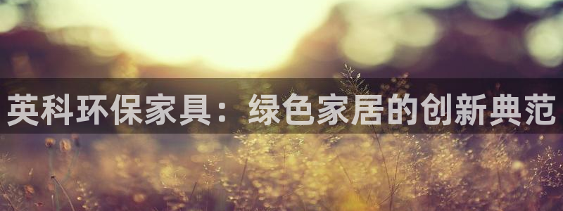 杏耀官网登陆：英科环保家具：绿色家居的创新典范
