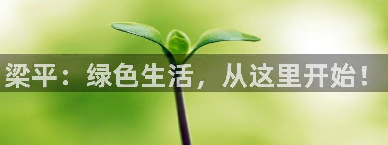 杏耀平台代理怎么赚钱