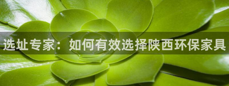 杏耀平台地址：选址专家：如何有效选择陕西环保家具