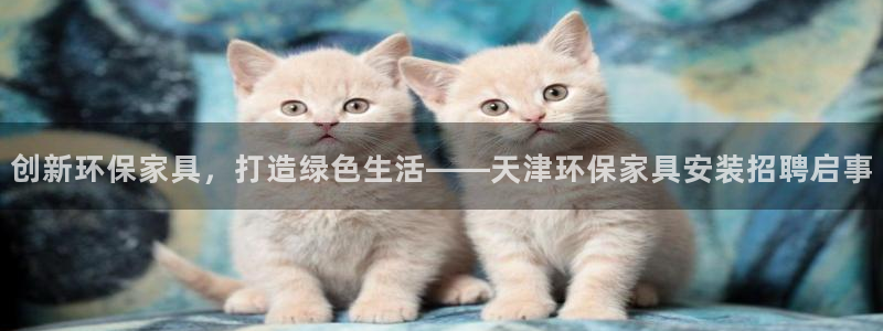 杏耀平台黑款：创新环保家具，打造绿色生活——天津环保家具安装