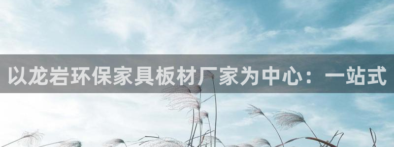 杏耀官网注册地址：以龙岩环保家具板材厂家为中心：一站式