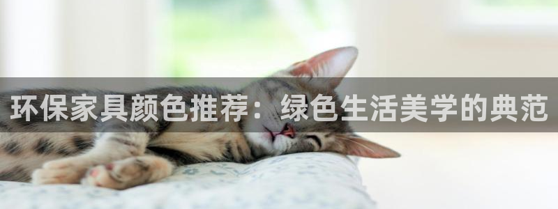 杏耀平台怎样