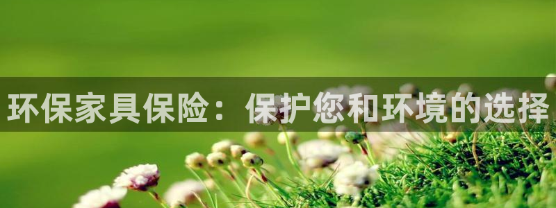 杏耀注册app：环保家具保险：保护您和环境的选择