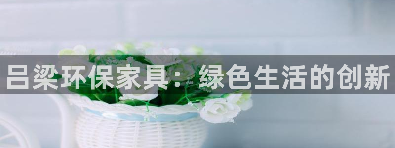 杏耀平台测：吕梁环保家具：绿色生活的创新