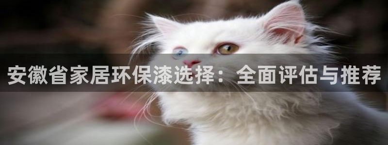 杏耀登录网页：安徽省家居环保漆选择：全面评估与推荐