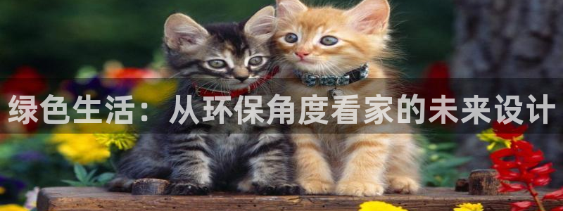 杏耀平台官方登录