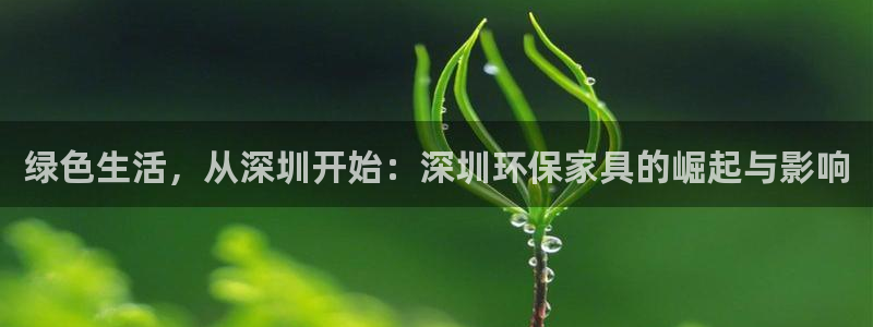 杏耀平台注册流程：绿色生活，从深圳开始：深圳环保家具的崛起与