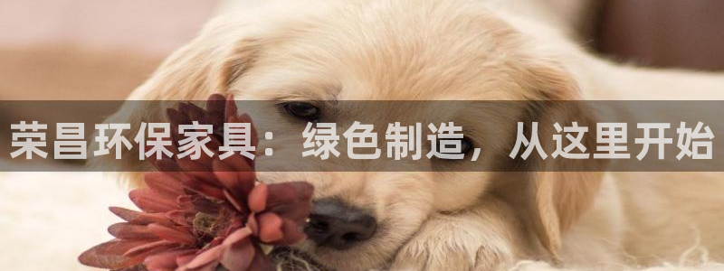 杏耀平台首页登录：荣昌环保家具：绿色制造，从这里开始