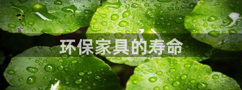 杏耀官网登录：环保家具的寿命
