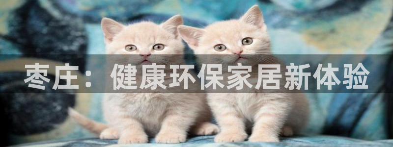 杏耀平台的专用通道