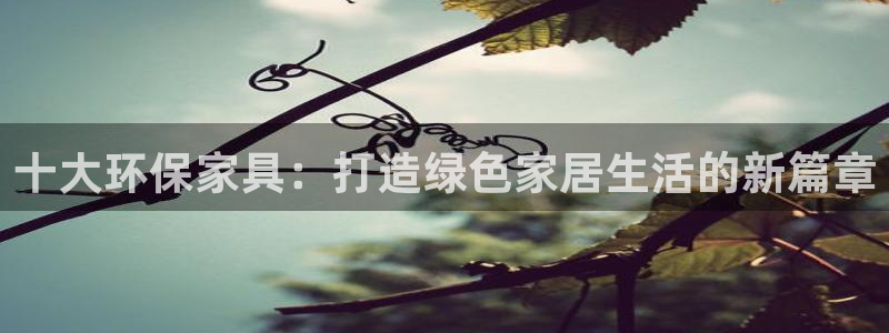 杏耀平台线路：十大环保家具：打造绿色家居生活的新篇章