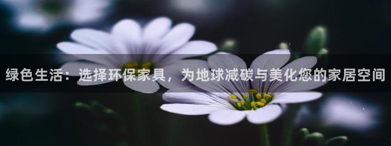 杏耀平台登录：绿色生活：选择环保家具，为地球减碳与美化您的家