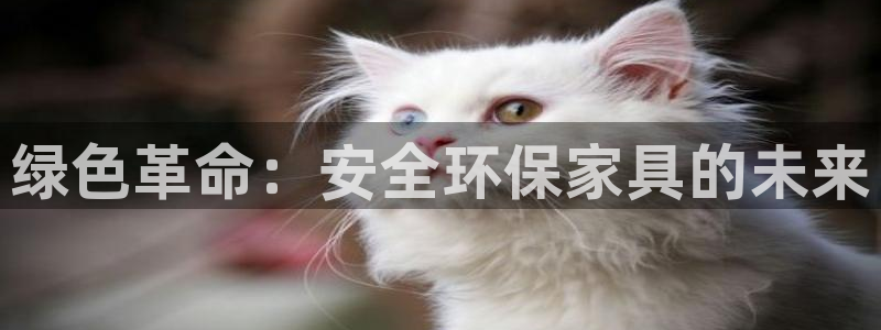 杏耀管网登录：绿色革命：安全环保家具的未来