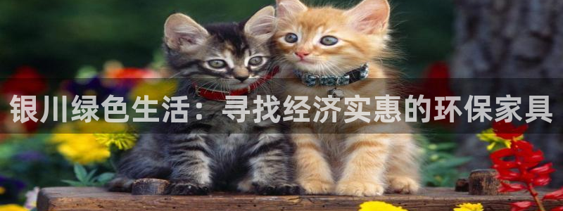 杏耀平台登录首页：银川绿色生活：寻找经济实惠的环保家具