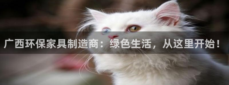 杏耀平台官网下载：广西环保家具制造商：绿色生活，从这里开始！