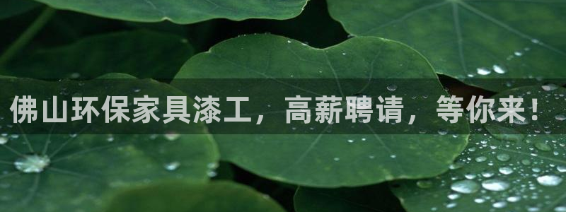 杏耀平台代理登录网址是多少