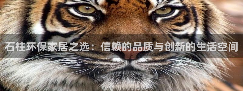 杏耀登陆电脑线路测速：石柱环保家居之选：信赖的品质与创新的生