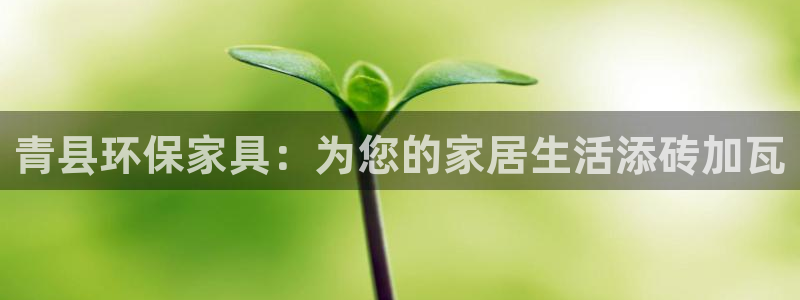 杏耀平台可以提款吗：青县环保家具：为您的家居生活添砖加瓦