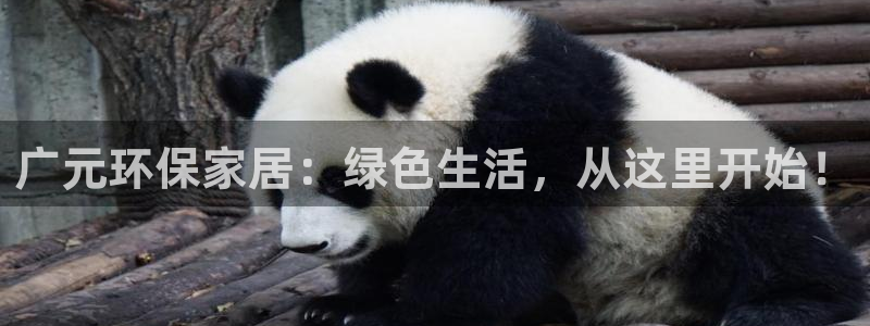 杏耀平台怎样：广元环保家居：绿色生活，从这里开始！