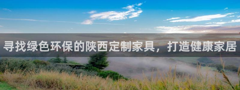 杏耀测速网址电脑版：寻找绿色环保的陕西定制家具，打造健康家居