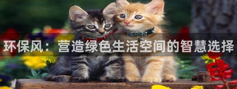 杏耀平台地址：环保风：营造绿色生活空间的智慧选择