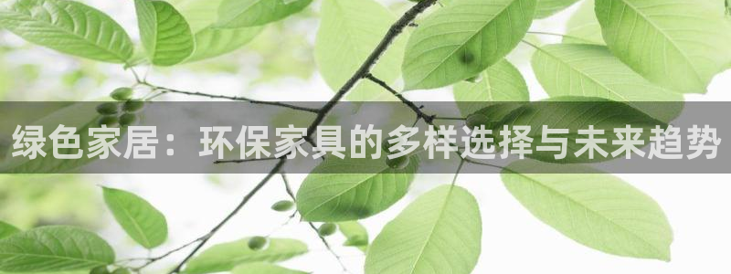 杏耀平台娱乐：绿色家居：环保家具的多样选择与未来趋势