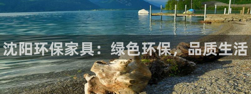 杏耀测速登录地址：沈阳环保家具：绿色环保，品质生活